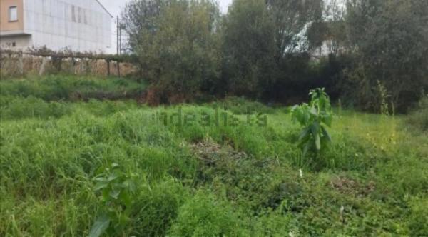 Terreno en cálago s/n