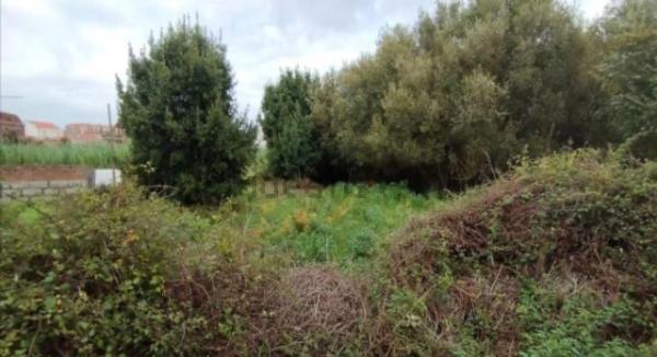 Terreno en cálago s/n