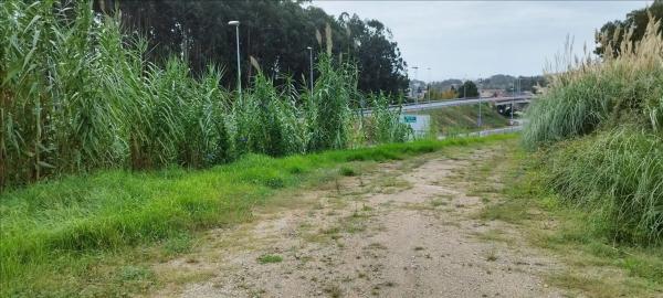 Terreno en Lugar Vinquiño