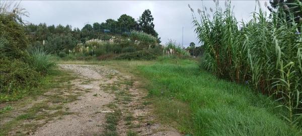 Terreno en Lugar Vinquiño