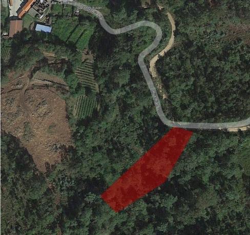 Terreno en o Rial s/n Sn