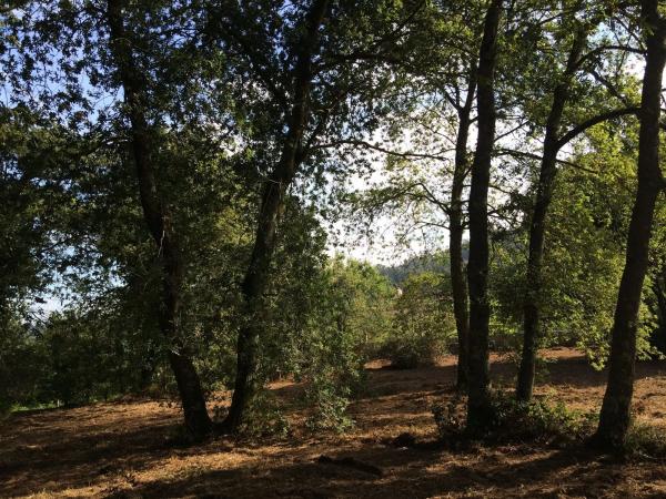 Terreno en Lugar Buezas, 1