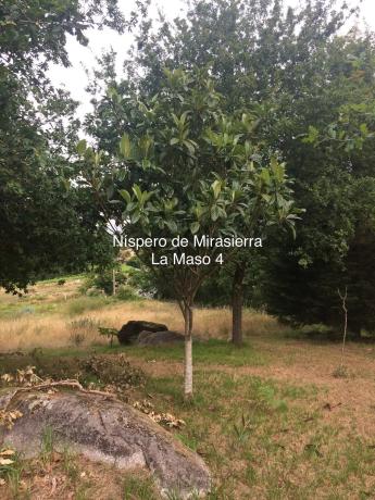 Terreno en Lugar Buezas, 1