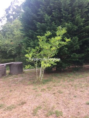 Terreno en Lugar Buezas, 1