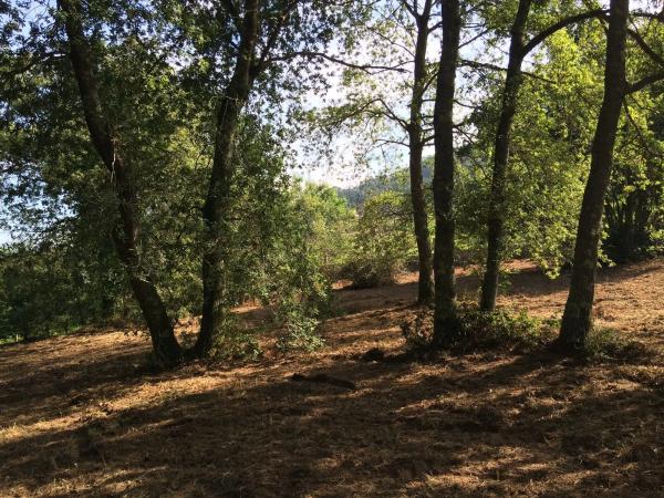 Terreno en Lugar Buezas, 1