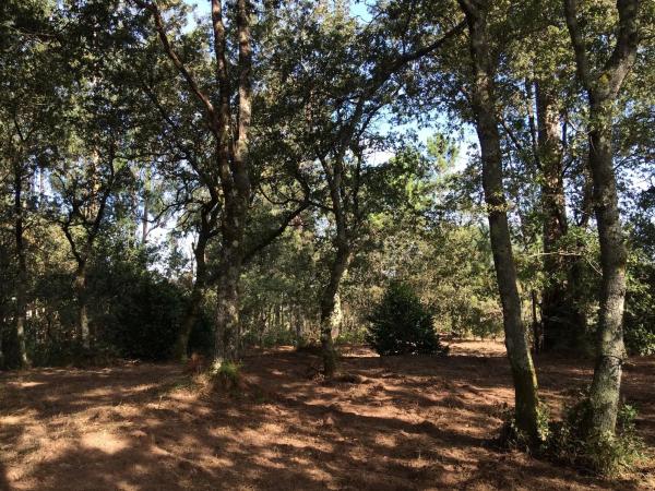 Terreno en Lugar Buezas, 1