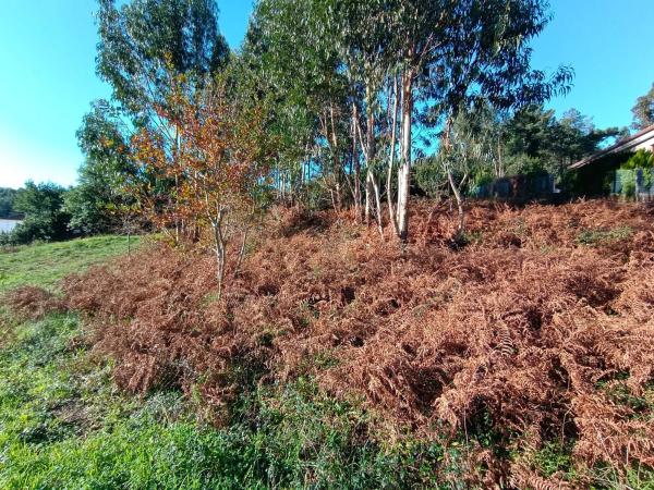 Terreno en Lugar Fabal, 11 a