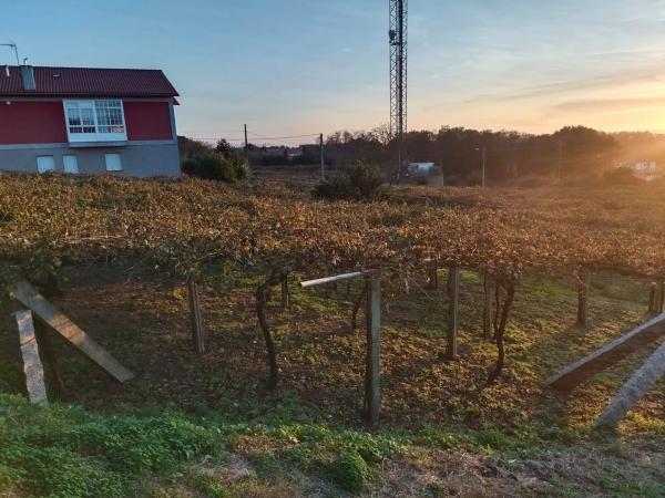 Terreno en fontoira s/n