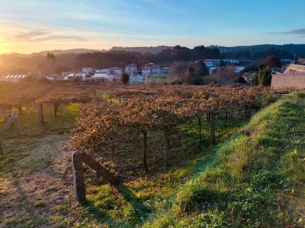 Terreno en fontoira s/n