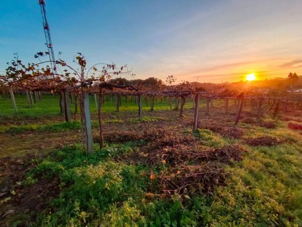 Terreno en fontoira s/n