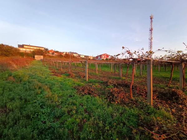 Terreno en fontoira s/n