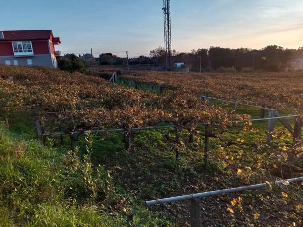 Terreno en fontoira s/n