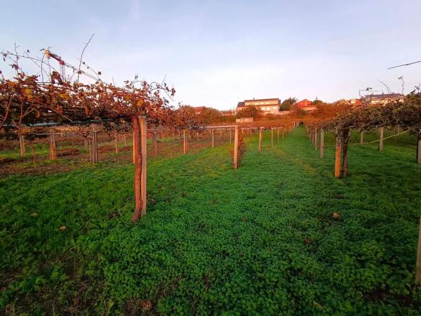Terreno en fontoira s/n