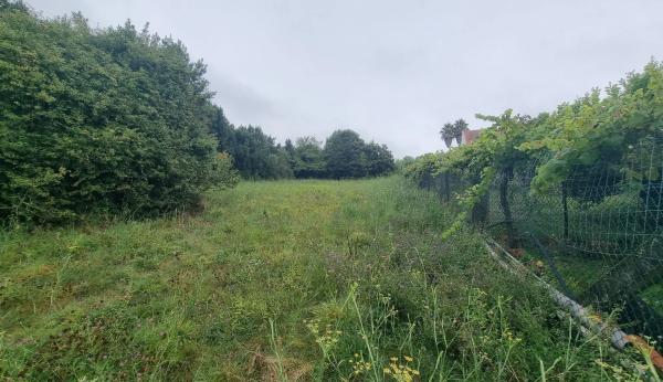 Terreno en calle Rial, 12