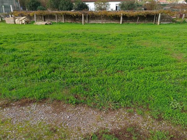 Terreno en Lugar Xesteiriña