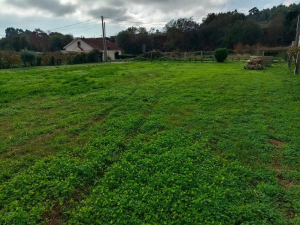Terreno en Lugar Xesteiriña