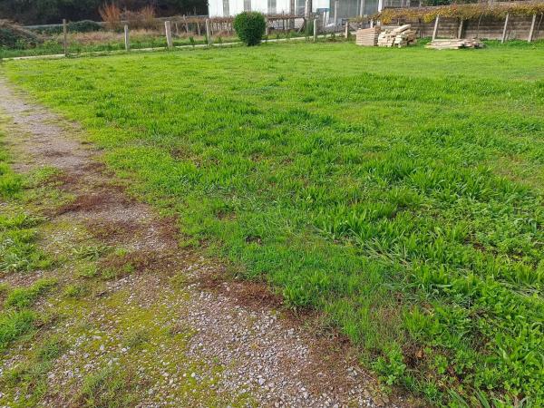 Terreno en Lugar Xesteiriña