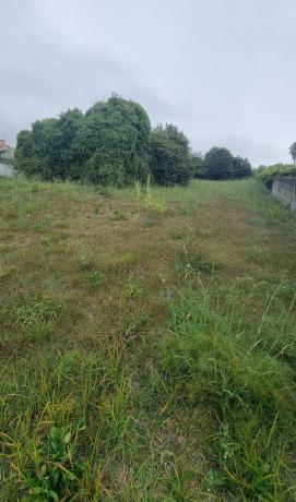 Terreno en calle Rial, 12