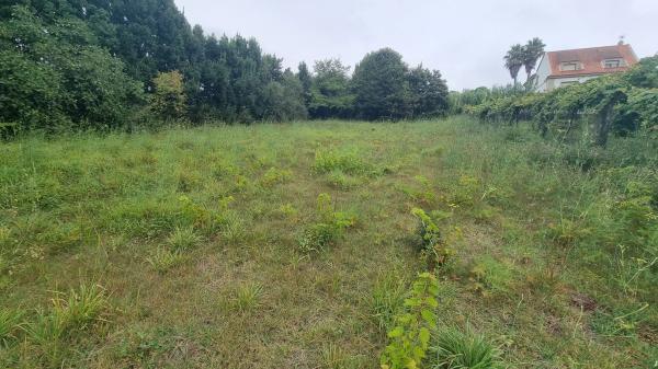 Terreno en calle Rial, 12