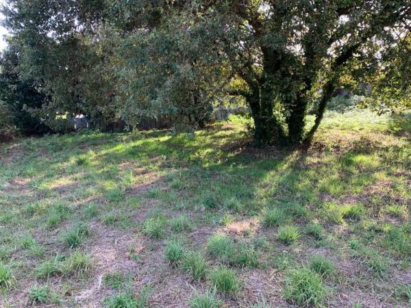 Terreno en calle Xiabre, 14