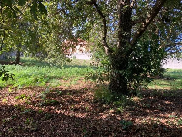 Terreno en calle Xiabre, 14