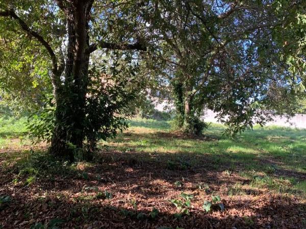 Terreno en calle Xiabre, 14