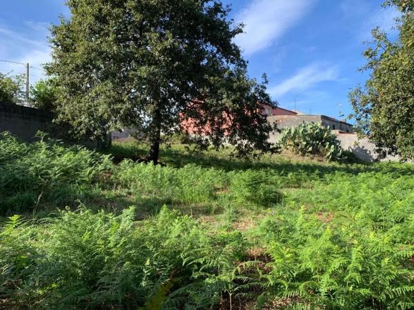 Terreno en calle Xiabre, 14