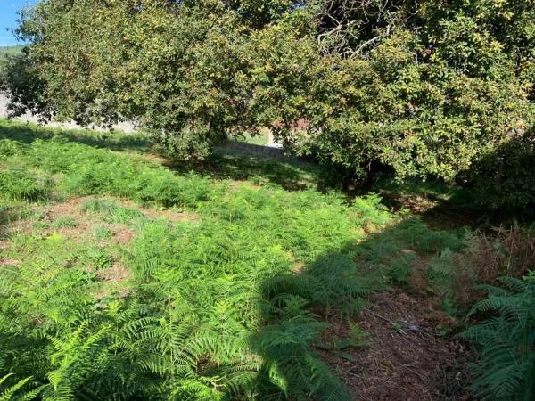 Terreno en calle Xiabre, 14