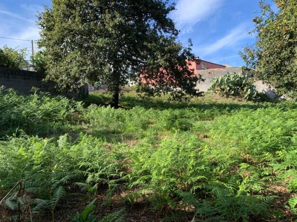 Terreno en calle Xiabre, 14