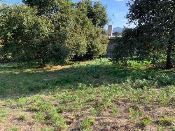 Terreno en calle Xiabre, 14