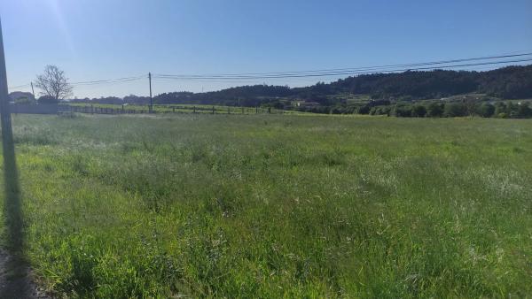 Terreno en Lugar Silvoso, 2