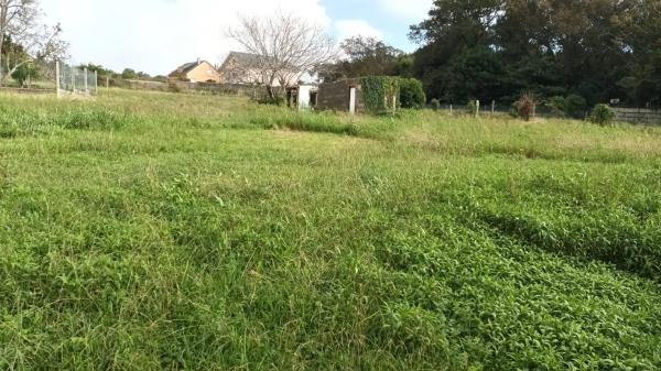 Terreno en Sobradelo - Rosaleda