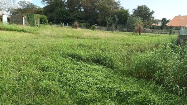 Terreno en Sobradelo - Rosaleda