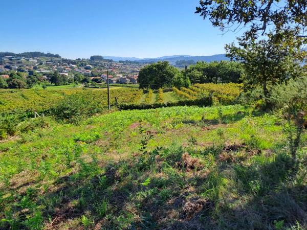 Terreno en calle do Castro, 8 b