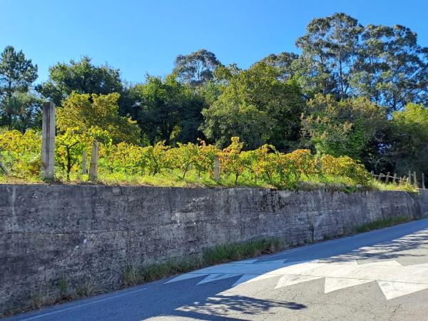 Terreno en calle do Castro, 8 b