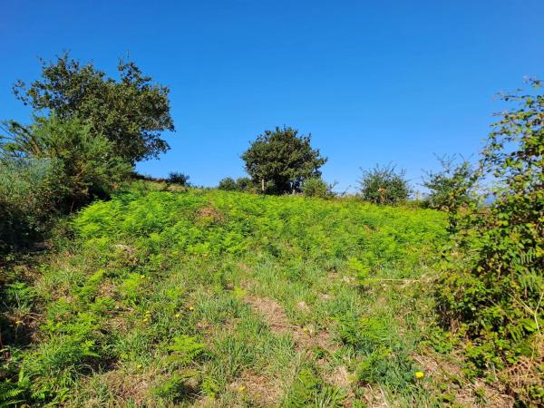 Terreno en calle do Castro, 8 b