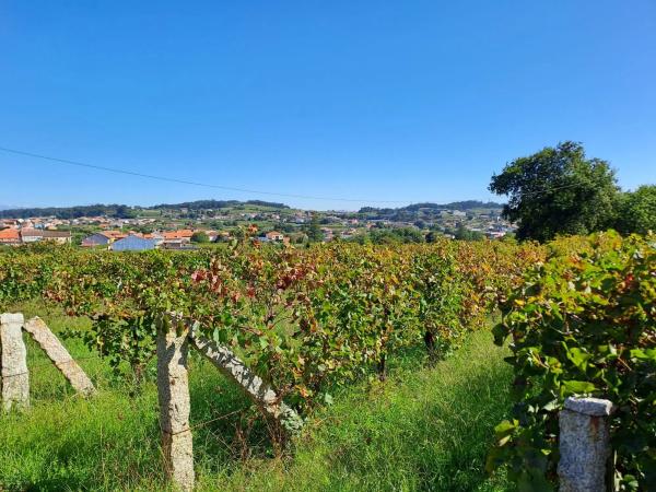 Terreno en calle do Castro, 8 b