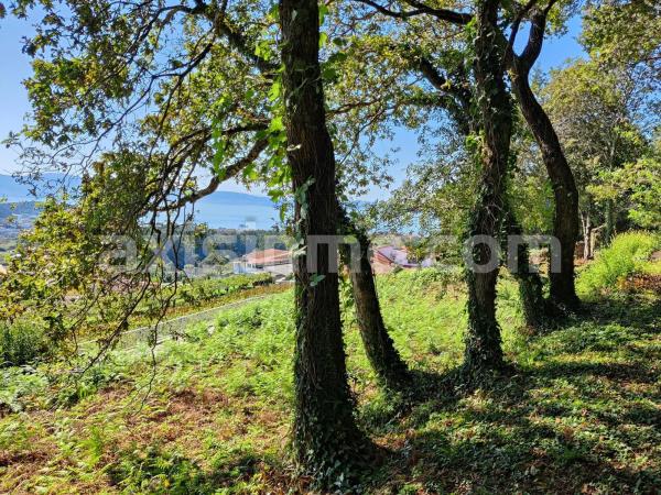 Terreno en Lugar Lamela, 29