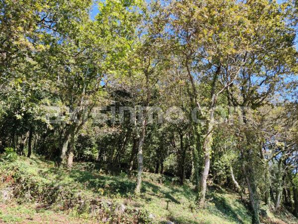 Terreno en Lugar Lamela, 29