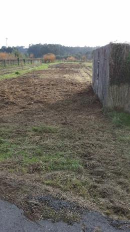 Terreno en calle Guillerma, 10
