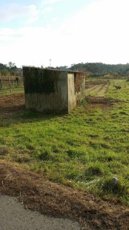 Terreno en calle Guillerma, 10