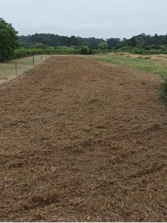 Terreno en calle Guillerma, 10