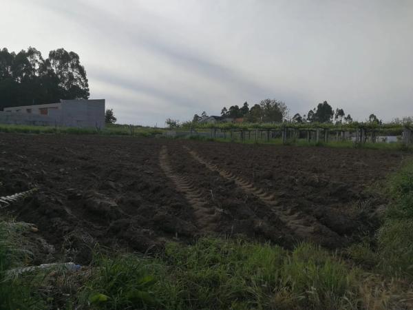 Terreno en calle Seara, 10