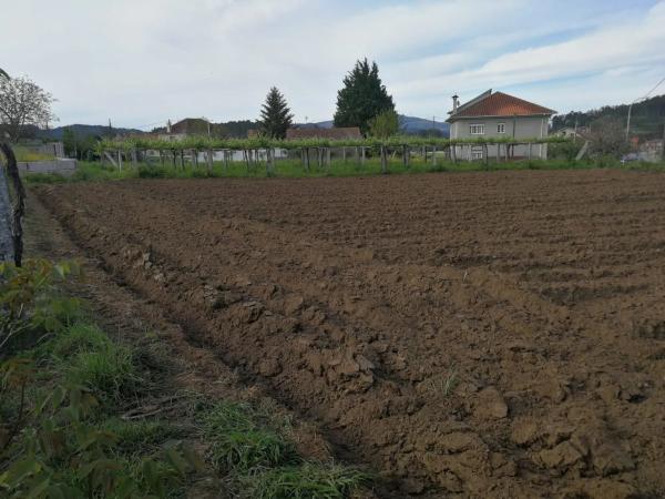 Terreno en calle Seara, 10