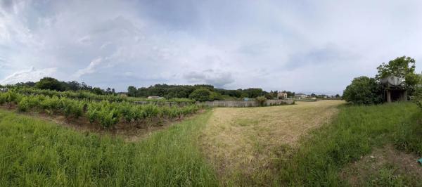 Terreno en Lugar Rial- Adina, 6 polgonoparcelasala