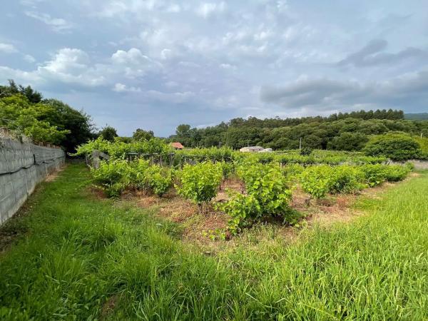 Terreno en Lugar Rial- Adina, 6 polgonoparcelasala
