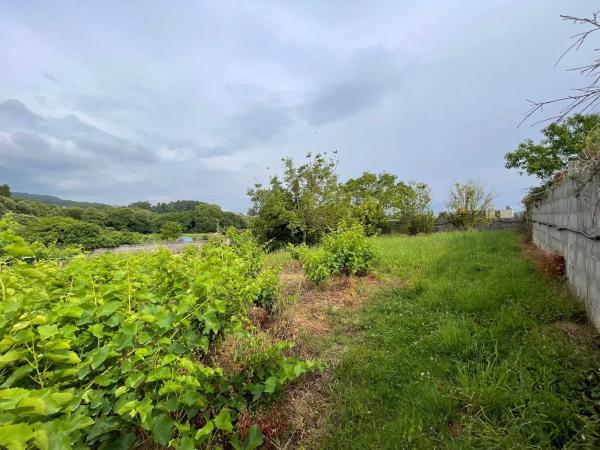 Terreno en Lugar Rial- Adina, 6 polgonoparcelasala