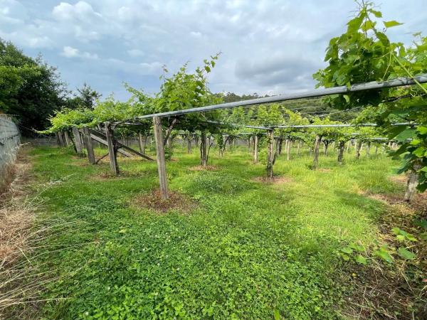 Terreno en Lugar Rial- Adina, 6 polgonoparcelasala