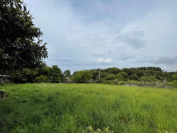 Terreno en Lugar Rial- Adina, 6 polgonoparcelasala