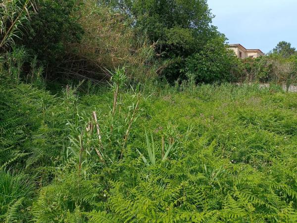 Terreno en Lugar o Outeiro